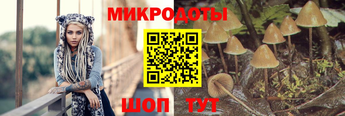Галлюциногенные грибы прущие грибы  Вход с VPN  Симферополь 